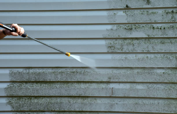 Best Roof Pressure Washing  in Wheatland, CA